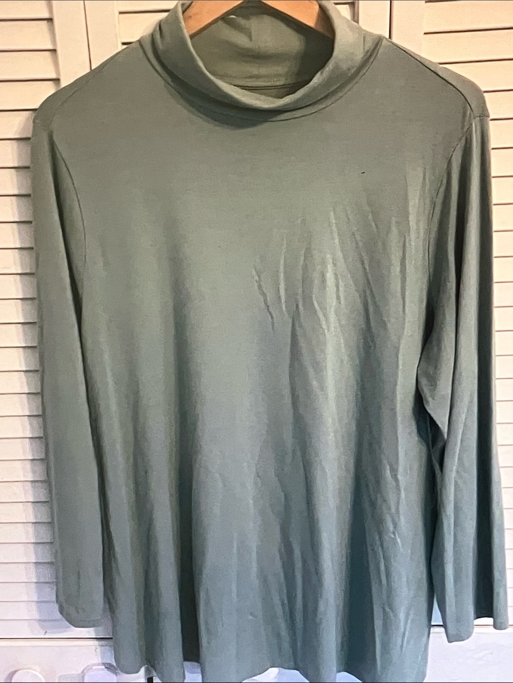 J. Jill Soft Sage Green Long Sleeve Turtleneck Tunic